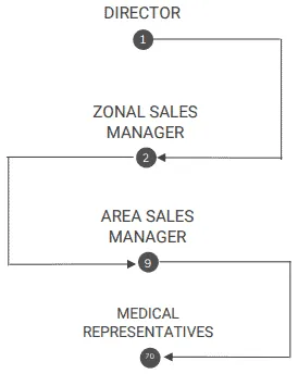 Organization Structure